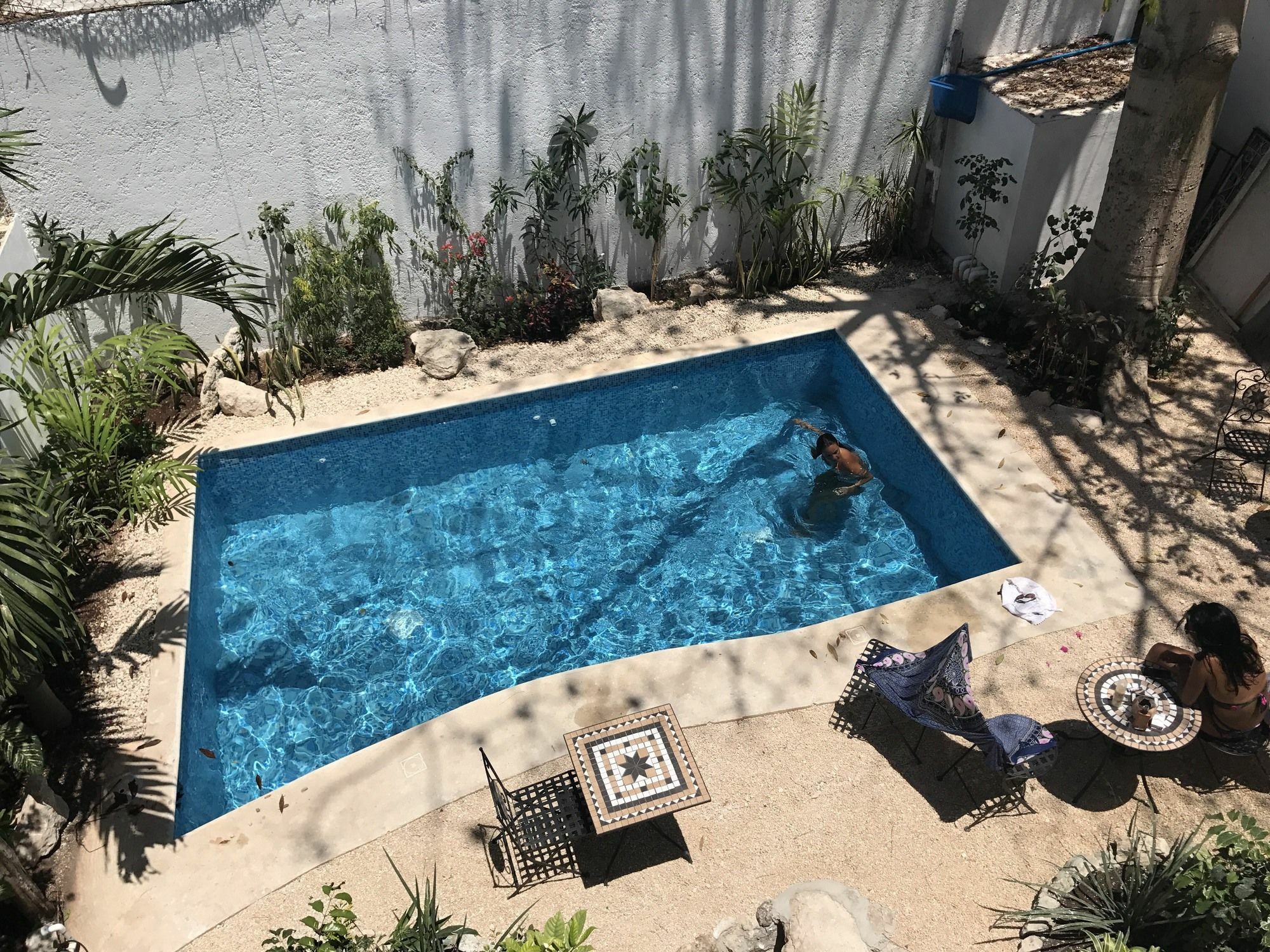 Villa Alejandra Hotel Boutique Playa del Carmen Eksteriør billede